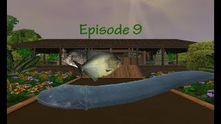 Jungle River Episode 9  Feisty Fishies  Piranha and Electric Eel Coves [upl. by Gilli]