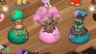 How to breed epic Viveine on seasonal shanty amp shugabush island [upl. by Meraree]