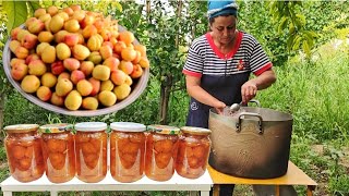 How to Make Delicious Apricot Jam Recipe [upl. by Anil722]