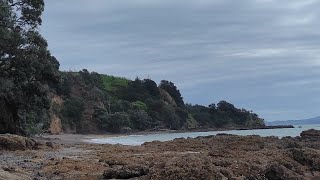 Воскресная прогулка по дороге ClevedonKawakawa в бухту Kawakawa🚙🏡🌳🌦🌊newzealand travel [upl. by Essile]