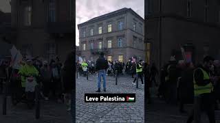 Würzburg Germany🇵🇸🇩🇪 levepalestina palestine gaza israel warzone germany uno humanity reels [upl. by Anhpad]