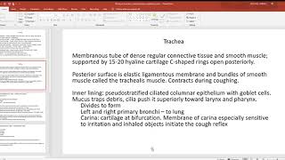 45 Larynx trachea conducting zone respiratory zone [upl. by Aneleairam537]