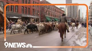 Broncos legend to lead 2024 National Western Stock Show Parade [upl. by Eirrehc]