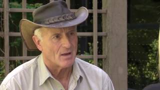 Jack Hanna Right decision was made to kill gorilla [upl. by Yeltsew]