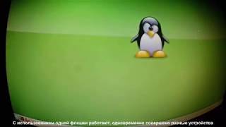 Установка Slax Linux или создание карманной операционной системы [upl. by Etep972]