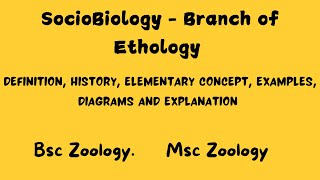 Sociobiology  Branch of Ethology bsczoology msczoology ethology [upl. by Stedman]