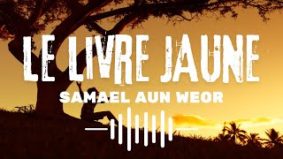 Le Livre Jaune  Livre Audio de Samael Aun Weor [upl. by Noral]