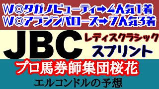 エルコンドル氏のJBCレディスクラシック2024スプリント2024予想！！注目はクラシックだけじゃない！前の2Rも目が離せない好レースになりそうなメンバーだ！ [upl. by Treacy]