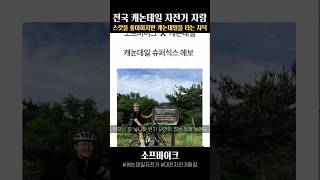 스캇을 좋아하지만 캐논데일을 타는 자덕 전국 캐논데일 자랑ep5 사이클링 [upl. by Stig]