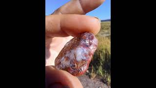 Cape Split Nova Scotia Agates 😊 [upl. by Jacie552]