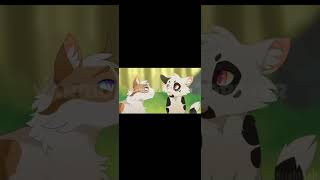 Swiftpaw edit [upl. by Iams]