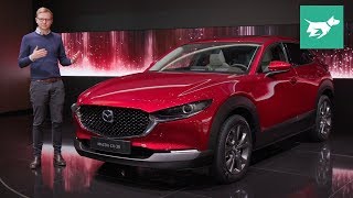 Mazda CX30 2020 review walkaround [upl. by Lunetta]