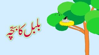 Bulbul ka Bacha Urdu Poem  بلبل کا بچّہ اردو نظم [upl. by Kong]