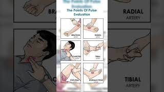 Sits of pulse palpate hospital medicalviralvideo ytshorts trending youtubeshorts youtube [upl. by Schouten]