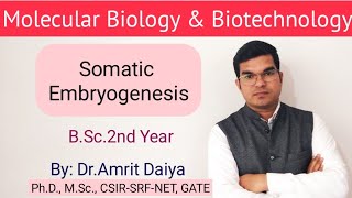 Somatic embryogenesis PTC Hindi amp English By DrAmrit Daiya 480p [upl. by Naryk]