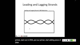 82 DNA Replication [upl. by Delamare647]