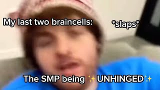 The DSMP being ✨UNHINGED✨ for 4 minutes and 33 seconds [upl. by Naryk]