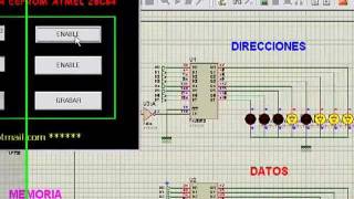 GRABADOR DE EEPROM 28C64 CON VISUAL BASIC Y PUERTO PARALELO [upl. by Kayne]