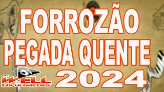 FORROZÃO PEGADA QUENTE 2024  E TOME FORRÓ [upl. by Aerdua]