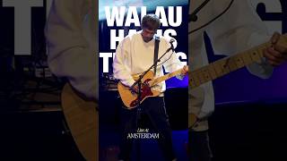 NOAH  Walau Habis Terang Live shorts [upl. by Natlus]