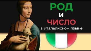 Итальянский с нуля Lezione 8 Род и число А1 С искусством [upl. by Birgit]