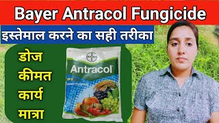 How to use antracol fungicide  Propineb 70wp  Antracol fungicide  bayer antracol fungicide uses [upl. by Osborn]