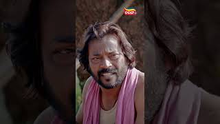 Samapajura Raghu  Odia Movie  Suryamayee  Manoj Mishra  Best Shorts  Tarang Plus [upl. by Alyaj]