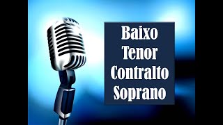 COMO FAZER DIVISÃO VOCAL Canto Coral de 4 Vozes APRENDA A DIVIDIR VOZ Backing Vocal MÚSICA GOSPEL [upl. by Radec852]