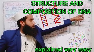 structure of dna 2nd Year biology in Urdu Hindi Watson and Crick model class 12 by hadi biology 24 [upl. by Foushee]