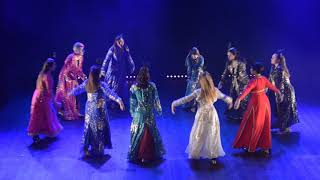 Persian dance to Negar with Agnes students at Layali Sweden 2013 [upl. by Cazzie702]