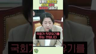 방통위 예산삭감 선포하자 거품물며 발악하기 시작한 김태규 [upl. by Eindys]