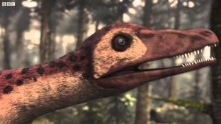 Dinosaur Discoveries Jeholornis [upl. by Talbot]