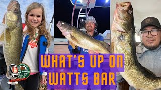 What’s Up On Watts Bar – TN WildCast 390 [upl. by Downes365]