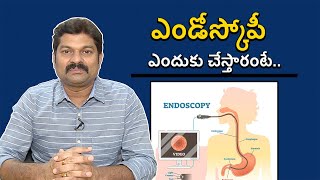 Endoscopy Purpose Procedure and Risks all Details  ఎండోస్కోపీ ఎందుకు చేస్తారంటే [upl. by Athalie]