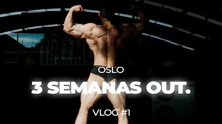 OSLO  3 SEMANAS OUT  VLOG 1 [upl. by Derwood884]