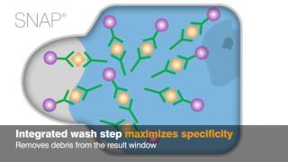 IDEXX SNAP Tests Technology in Action [upl. by Kataway507]