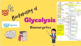 Glycolysis  Biochemistry  BSCG  BCHET  BZYCT  IGNOU ignouexams glycolysis biochemistry bsc [upl. by Tsew]