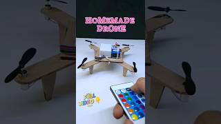 DIY remote controlled Drone  science project [upl. by Lindsey]