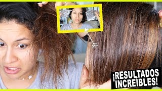 TRATAMIENTO CASERO PARA EL CABELLO SECO Y MALTRATADO 7 I COLAB TANIA ARREDONDO [upl. by Anera]