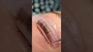 Get ready to flutter those fabulous lashes lashgoals lashliftandtint lashtransformation [upl. by Lavro]