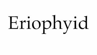 How to Pronounce Eriophyid [upl. by Uaerraj]