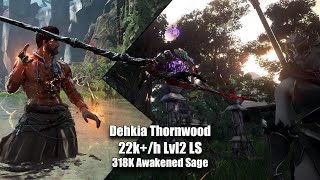 BDO  Succession Maegu PvE  Thornwood Forest  Dehkias Lantern 205k Lv2 Only  Combo amp Addons [upl. by Chantal]