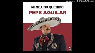 Pepe Aguilar  Esclavo Y Amo [upl. by Adnaval]