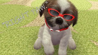 My Dog is Broken the Let’s Player too Nintendogs  Cats Toy Poodle and New Friends Episode 4 [upl. by Halona]