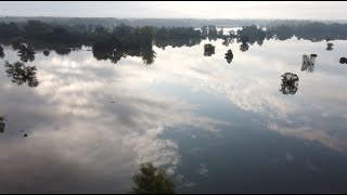 Atemberaubend  Hochwasser MarchThaya Au 17924  RabensburgHohenauDrösingDürnkrutStillfried [upl. by Albina]