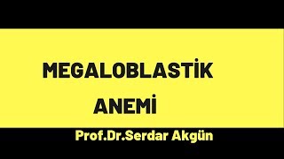 Hematoloji Megaloblastik Anemi Özet ve Tedavi [upl. by Ruenhcs]