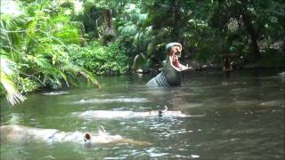 Jungle Cruise Magic Kingdom Walt Disney World HD  Winter [upl. by Hedvige]