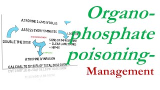 OP poisoning management [upl. by Ditmore470]