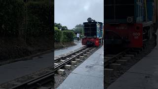 Darjeeling tour darjeeling darjeelingdiaries darjeelingtour hillstation darjeelingtoytrain [upl. by Retse]