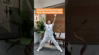 QiGong movement for relieve Lower back pain and sciatica pain lowerbackpain sciatica exercisetips [upl. by Lednek]